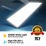 2X4 FT Edge-Lit PANEL (4 PACK) WATTAGE 60W, 120-277V, 0-10V DIMMABLE, UL FCC & DLC LISTED