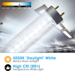 4FT LED T8 Tube Clear Lens 18W, 5000K, 2200 Lumens, 120V-277V, Dual-End Powered (30 PACK)